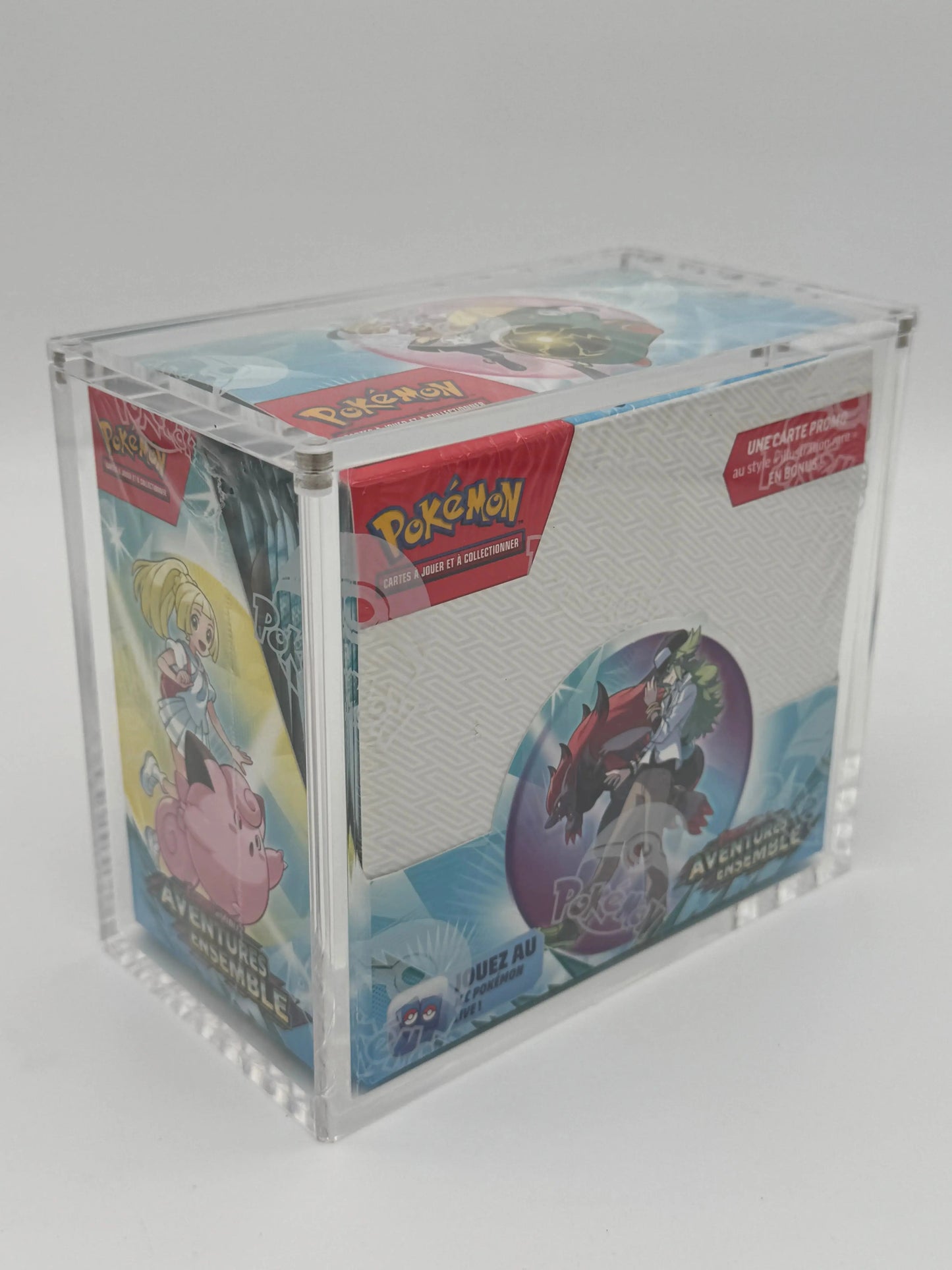 Display Acrylique Aimanté – Version Française – ProTech